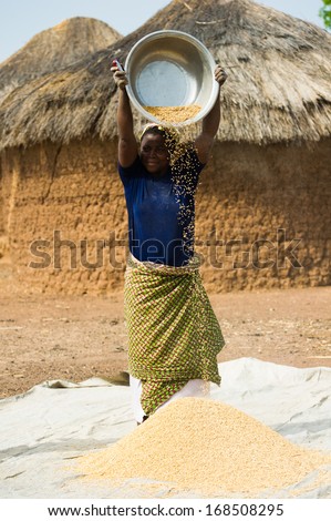 Ghana - March 2, 2012: Unidentified Ghanaian Woman Works In The Field In Ghana, On March 2nd, 2012. People In Ghana Suffer From Poverty Due To The Slow Development Of The Country