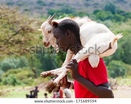 AMBOSELI, KENYA - OCTOBER 10, 2009: Unidentified Massai man carries a goat on the sholders in Kenya, Oct 10, 2009. Massai people are a Nilotic ethnic group