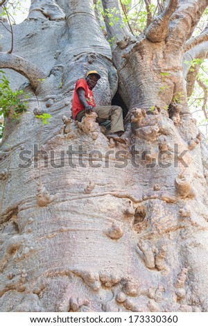 KARA, TOGO - MARCH 7, 2012: Unidentified Togolese man sits on the tree in Togo, Mar 7, 2012. People in Togo suffer of poverty due to unstable economical situation