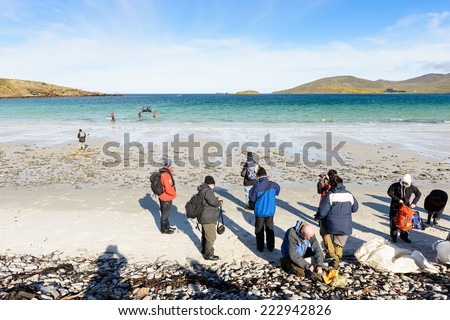 FALKLAND ISLANDS - NOV 5, 2012: Unidentified tourists on the coast of the Falkland Island. Falkland Islands are an archipelago in the South Atlantic Ocean on the Patagonian Shelf