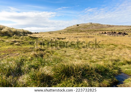 Nature of the Falkland Island, grass and sky