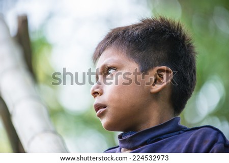 AMAZONIA, PERU - NOV 10, 2010: Unidentified Amazonian boy portrait. Indigenous people of Amazonia are protected by  COICA (Coordinator of Indigenous Organizations of the Amazon River Basin)