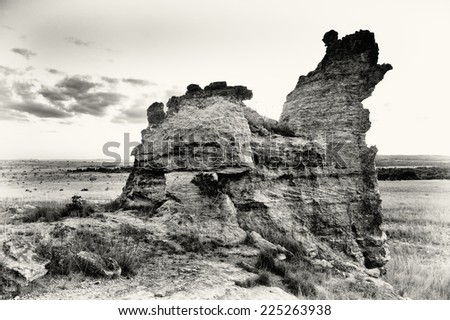 Rock in Madagascar in black and white