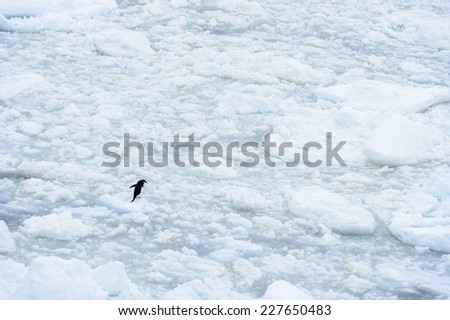 Ice landscape of SOuth Georgia