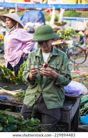HANOI, VIETNAM - SEP 23. 2014: Unidentified man works at the flower market in Hanoi, Vietnam. Flower market in Hanoi is one of the largest flower markets in Vietnam
