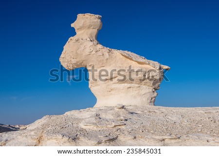 Rabbit look limestone formation at the Western White Desert National Park of Egypt