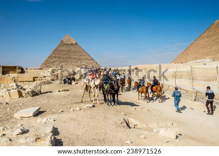 GIZA, EGYPT - NOV 23, 2014: Unidentified Egyptian people ride camels and horses in  Giza Necropolis, Egypt. UNESCO World Heritage