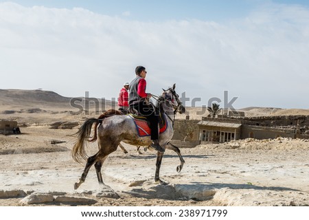 GIZA, EGYPT - NOV 23, 2014: Unidentified Egyptian man rides a horse at Giza Necropolis, Egypt. UNESCO World Heritage