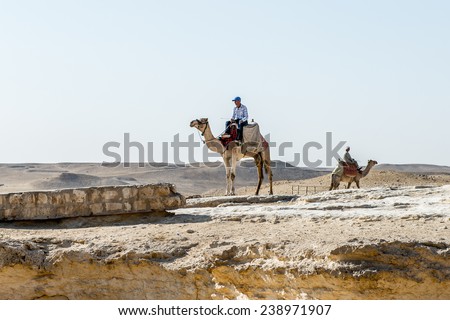 GIZA, EGYPT - NOV 23, 2014: Unidentified Egyptian man rides a camel at Giza Necropolis, Egypt. UNESCO World Heritage