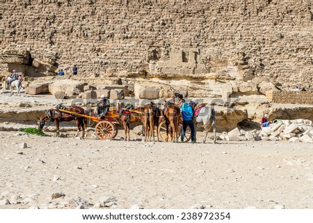 GIZA, EGYPT - NOV 23, 2014: Unidentified Egyptian people ride horse carriage at Giza Necropolis, Egypt. UNESCO World Heritage