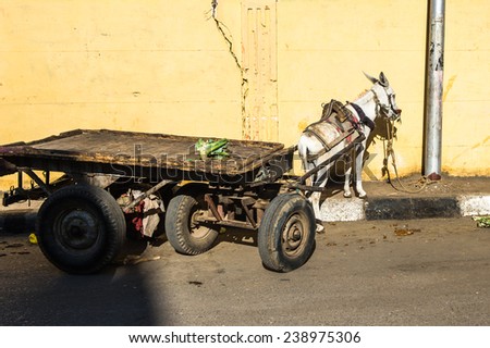 LUXOR, EGYPT - NOV 29, 2014: Donkey carriage in Luxor, Egypt. Luxor is a city in Upper Egypt and the capital of Luxor Governorate.