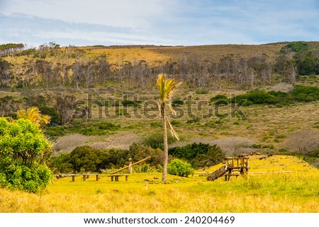 Nature of the Easter Island in Chile, South America