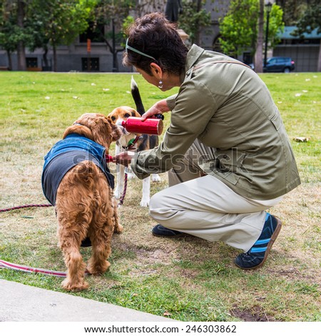 SANTIAGO, CHILE - NOV 1, 2014:  Unidentified Chilean woman plays with a dog in Santiago. Chilean people are mainly of mixed Spanish and Amerindian descent