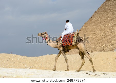 GIZA, EGYPT - NOV 23, 2014: Unidentified Egyptian man rides camel at Giza Necropolis, Egypt. UNESCO World Heritage