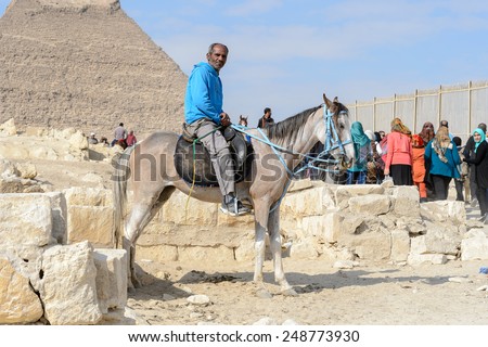 GIZA, EGYPT - NOV 23, 2014: Unidentified Egyptian man with horses at Giza Necropolis, Egypt. UNESCO World Heritage