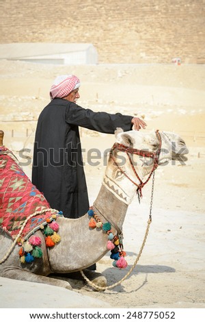 GIZA, EGYPT - NOV 23, 2014: Unidentified Egyptian man with camel at Giza Necropolis, Egypt. UNESCO World Heritage
