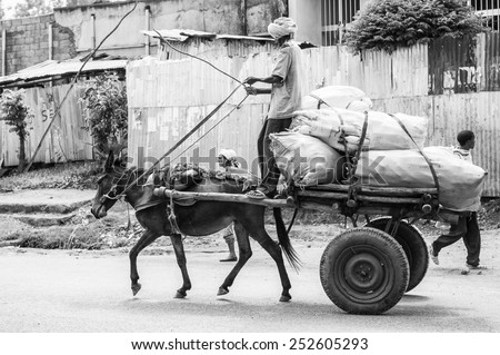 OMO, ETHIOPIA - SEPTEMBER 19, 2011: Unidentified Ethiopian man on a donkey carriage in the street. People in Ethiopia suffer of poverty due to the unstable situation