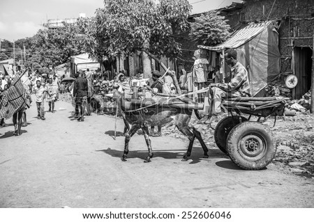 OMO, ETHIOPIA - SEPTEMBER 19, 2011: Unidentified Ethiopian man on a donkey carriage. People in Ethiopia suffer of poverty due to the unstable situation