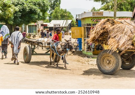 OMO, ETHIOPIA - SEPTEMBER 21, 2011: Unidentified Ethiopian man on a donkey carriage in the street. People in Ethiopia suffer of poverty due to the unstable situation