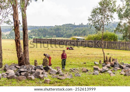 OMO, ETHIOPIA - SEPTEMBER 19, 2011: Unidentified Ethiopian boys in the field. People in Ethiopia suffer of poverty due to the unstable situation