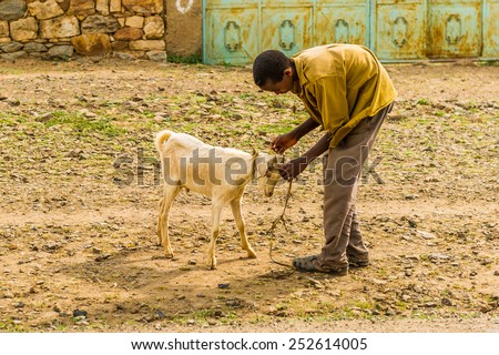 OMO, ETHIOPIA - SEPTEMBER 21, 2011: Unidentified Ethiopian man with a goat in the street. People in Ethiopia suffer of poverty due to the unstable situation