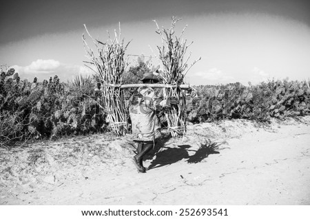 ANTANANARIVO, MADAGASCAR - JULY 3, 2011: Unidentified Madagascar man carries a banch of wood. People in Madagascar suffer of poverty due to slow development of the country