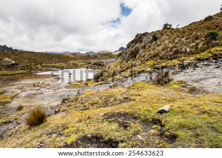 Cajas National Park, a national park in the highlands of Ecuador