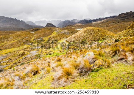 Cajas National Park, a national park in the highlands of Ecuador