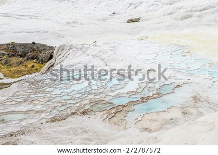 Natural travertine terraces and pools in Pamukkale ,Turkey (Cotton Castle). UNESCO World Heritage