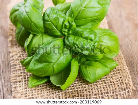Bundle of herbs basil isolated on wooden background