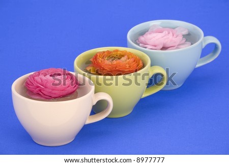 Three cups with flower heads on a plain background.