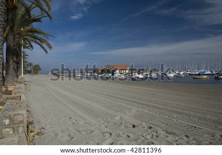 stock photo : Palm trees along a beach promenade in Los Alcazares, Murcia.