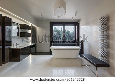 Interior of modern luxury minimalistic bathroom with window