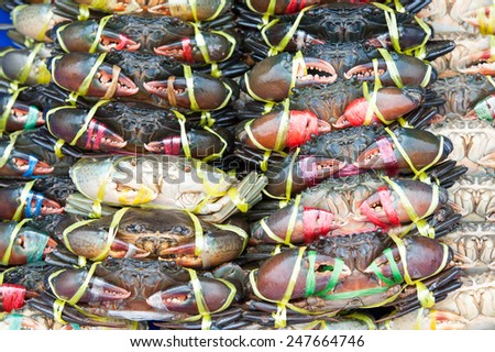 Live Crabs ready to be cooked in a market.