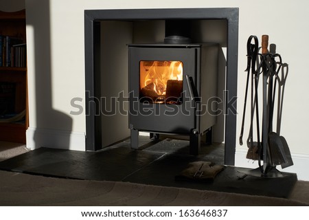 Wood Burning Stove, Traditional Heating System. Zero Carbon Footprint