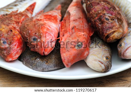 Raw fishes on white plate from local mediterranean fish market, seafood cuisine.Healthy food concept.