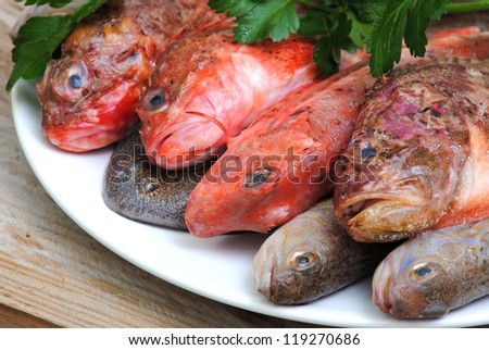 Fishes and parsley, rustic wood background.Mediterranean fishes,red scorpion fish, red robin, weever, flatfish, red mullet.Seafood diet.Red fishes.