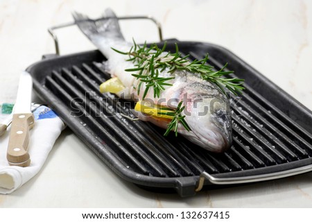 Fish with aromatic herbs on grill.Mediterranean sea-bass fish.Fresh seafood.