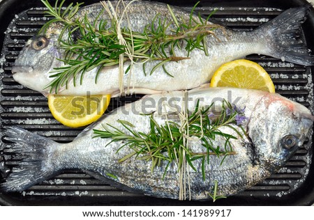 Two fresh sea bream fishes on grill with herbs and lemon, black grill background. Mediterranean seafood concept.