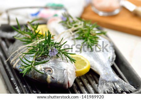 Two fresh gilt-head bream fishes on grill with fresh rosemary and lemon. Mediterranean seafood concept.