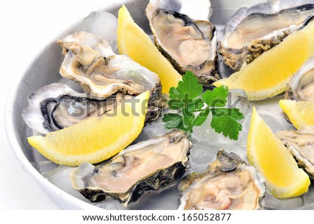 Raw oysters plate with  lemon on ice closeup, white background.Fresh raw seafood.