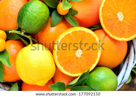 Mixed citruses, oranges, lemon, kumquats, lime, mandarin,grapefruit . Fresh citrus fruits background.