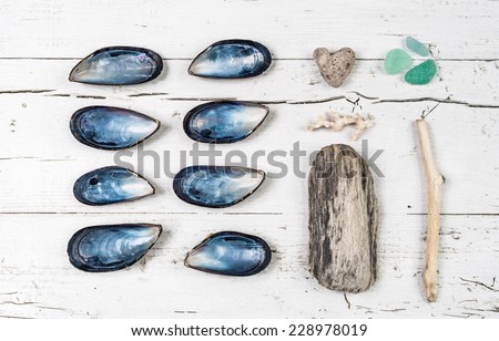 Beach collections still life, unusual.Seashells, woods, sea glasses on white wood background.