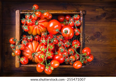 Tomatoes.Fresh tomatoes background.Organic veg food.