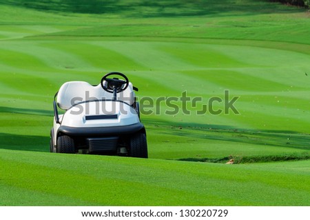 White golf carts parked on the green grass.