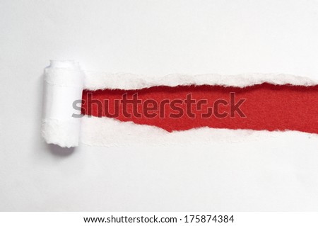 White Paper Torn Into Strips. Ground Red Paper.