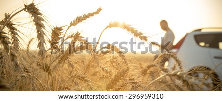 Man stuck with his car in a wheat field on a golden sunset