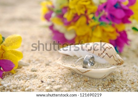 Wedding rings in the shells on the sand. Beautiful exotic shell with golden wedding rings