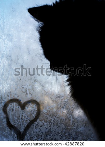 Little heart and little cat on frosty window