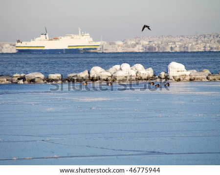 Nice winter day with ducks and a ship at the back